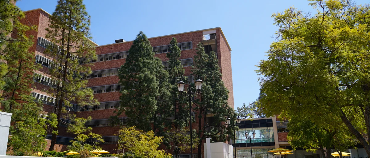 CIRM/Alpha Clinic logo