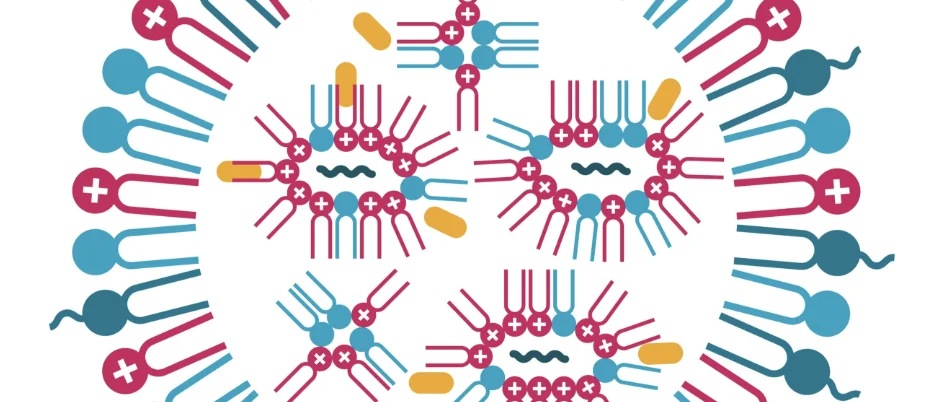 Cartoon structural diagram of a lipid nanoparticle (LNP)
