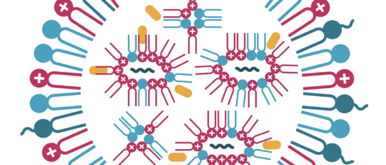 Cartoon structural diagram of a lipid nanoparticle (LNP)