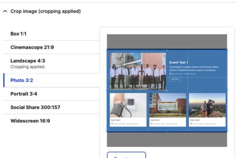 Example the crop image tool