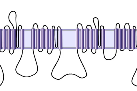 Schematic diagram of a voltage-gated sodium cahnnel