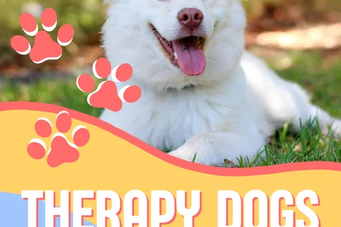 Therapy Dogs Flyer - Psych SIG
