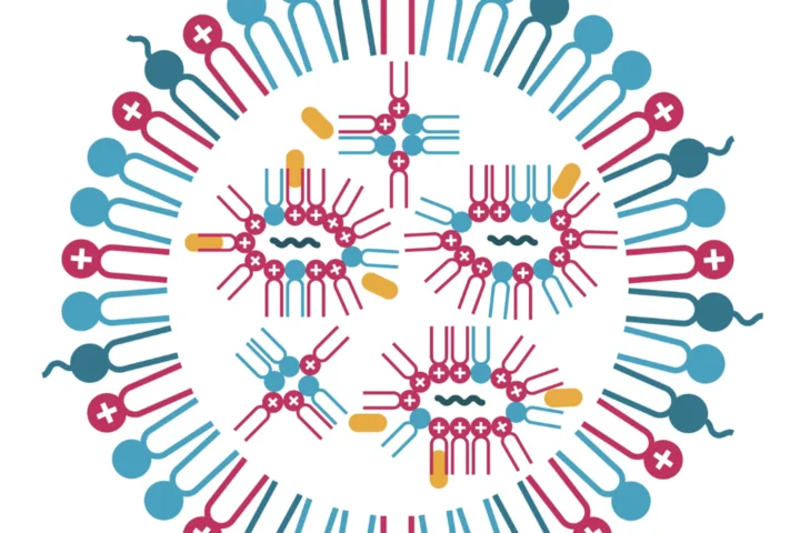 Cartoon structural diagram of a lipid nanoparticle (LNP)