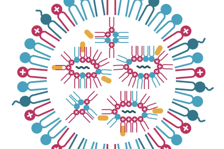 Cartoon structural diagram of a lipid nanoparticle (LNP)
