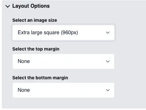 The Expanded Layout Options for the Image Component. With the following dropdown options:  Select an image size, Select the top margin and Select the bottom margin