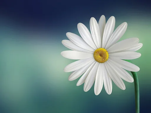 Test description of image