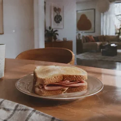 A plated bologna sandwich sitting on a wooden dining table