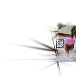 A screenshot of website, where a cat in the room is scanned in all directions.