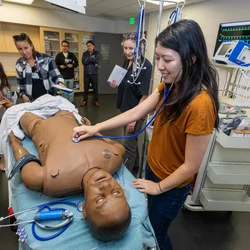 Student using a stethoscope on a human simulator in the simulation center. 