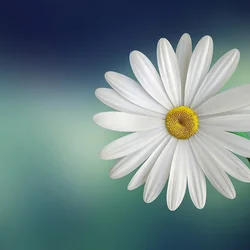 Test description of image