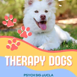 Therapy Dogs Flyer - Psych SIG