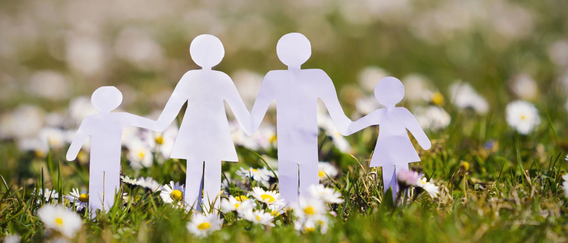 image of paper family on grass