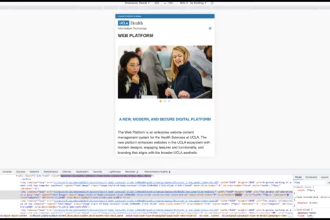 Example of the view users will see when in device simulator in Chrome
