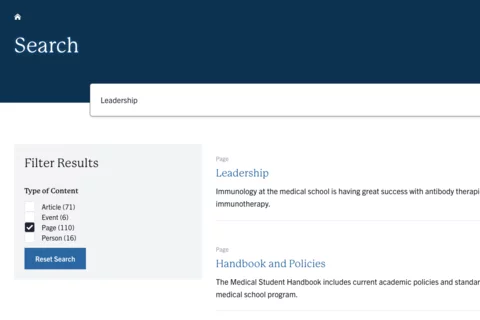 Example of a search page on the Web Platform with the meta description displaying