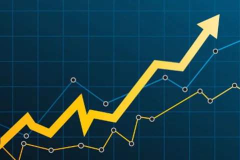 SEO Line Chart