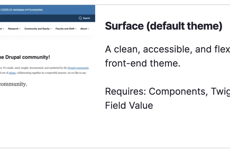 Surface theme settings in appearance settings