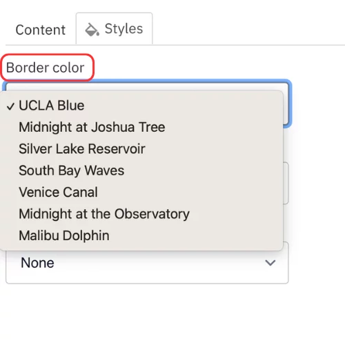 Border color