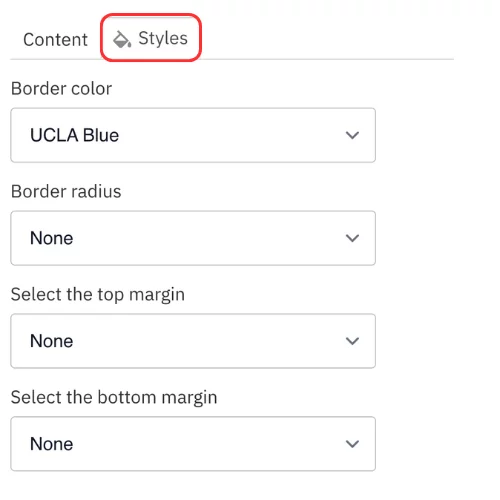 Icon style options