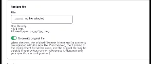 Example of adding alternative text for an image on this site